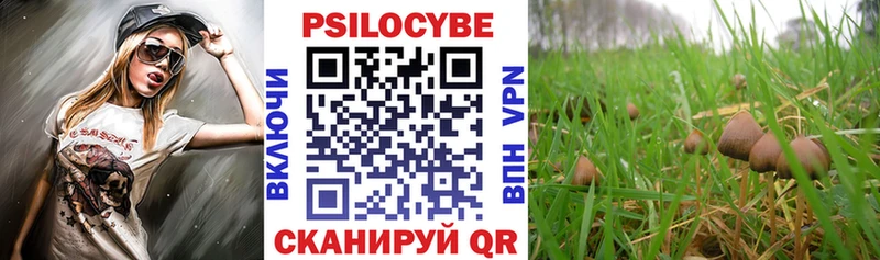 Купить где  Пересвет  Псилоцибиновые грибы мухоморы 